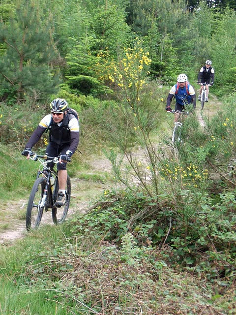 MTBNordvogesen02.jpg