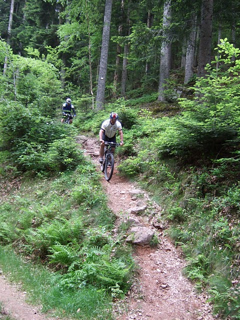 MTBNordvogesen09.jpg