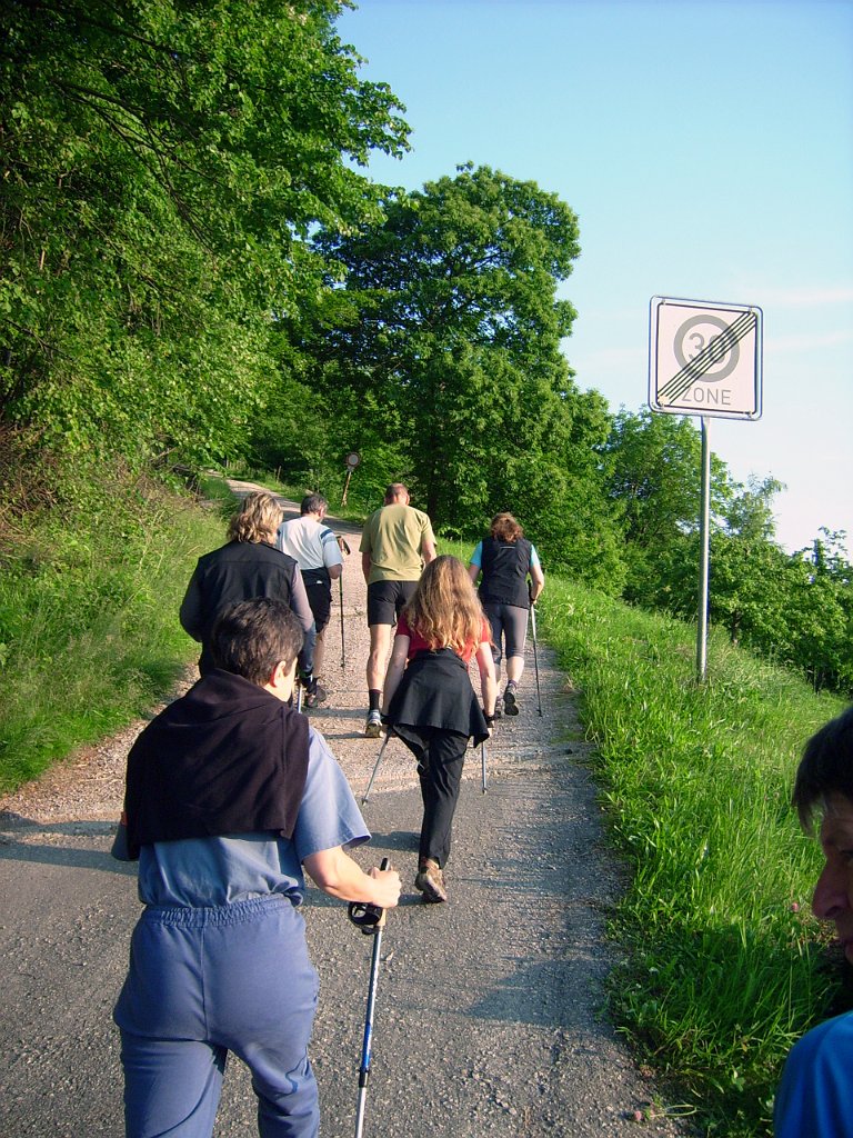 dsci0209.jpg - Gleich zu Beginn steil den Katzensteig hinauf