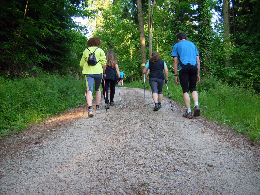 dsci0212.jpg - Nun geht es in den Wald