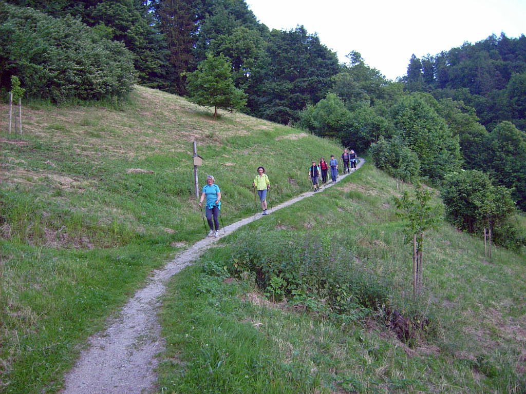 dsci0237.jpg - Die Walker kamen zeitgleich mit den Läufern ans Ziel - gutes "Timing"!