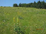 Grand_Ballon_mit_Skiclub_029