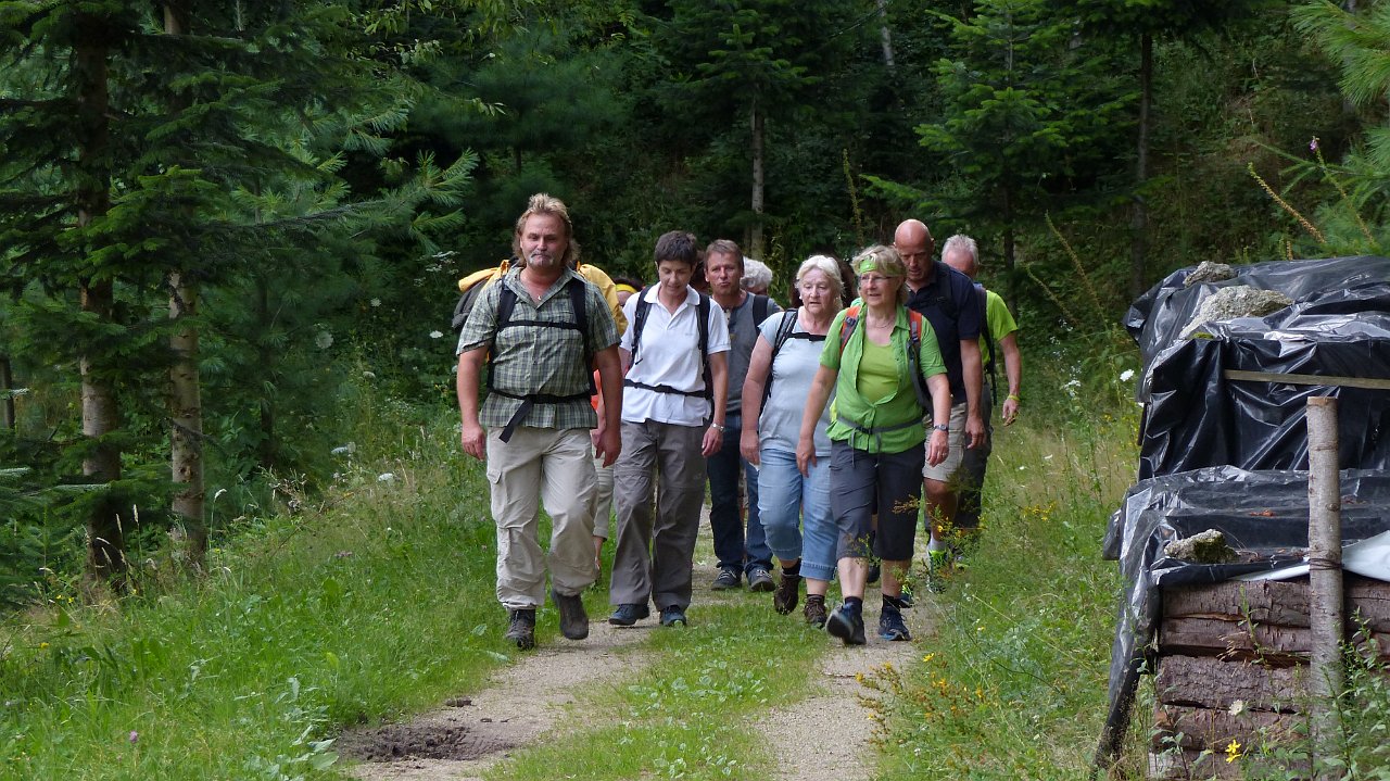 P1080672.jpg - Oberhalb vom "Haus am Berg" wurde der Weg für ein kurzes Stück eben...