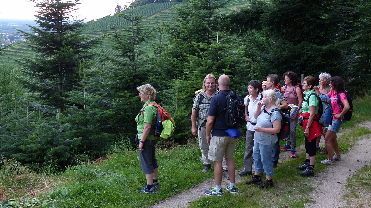 P1080679.jpg