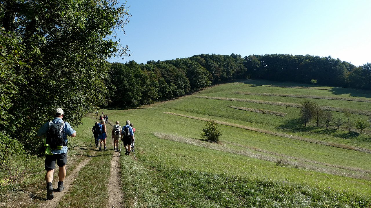 kaiserstuhlpfad_00010.jpg